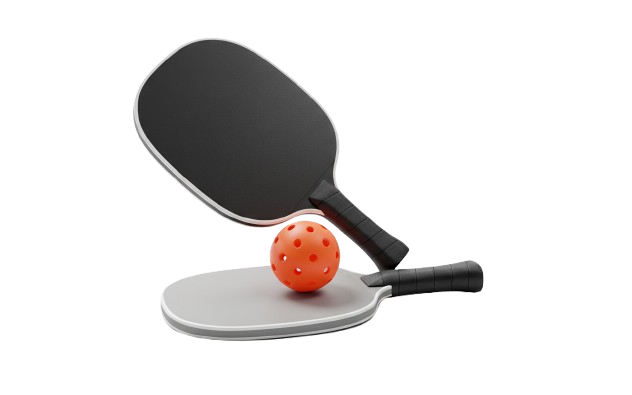Pickleball paddles and ball